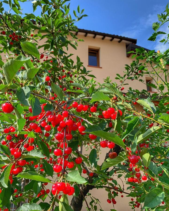Готель Casa Due Marie Marano Sul Panaro Екстер'єр фото